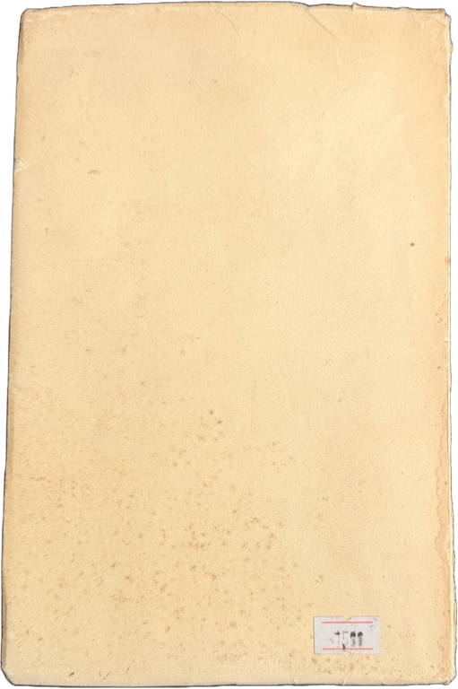 FOGLI SPARSI | Immagine Gallery 4