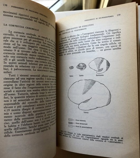 FONDAMENTI DI PSICOLOGIA FISIOLOGICA