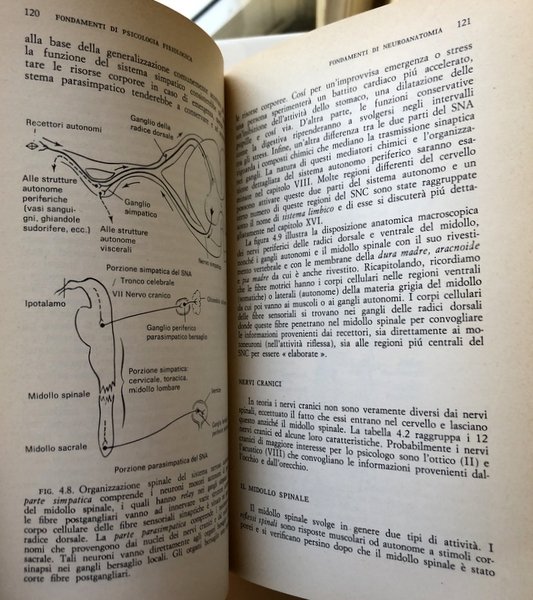 FONDAMENTI DI PSICOLOGIA FISIOLOGICA