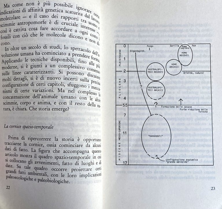 FRONTIERE DELL'ANTROPOLOGIA