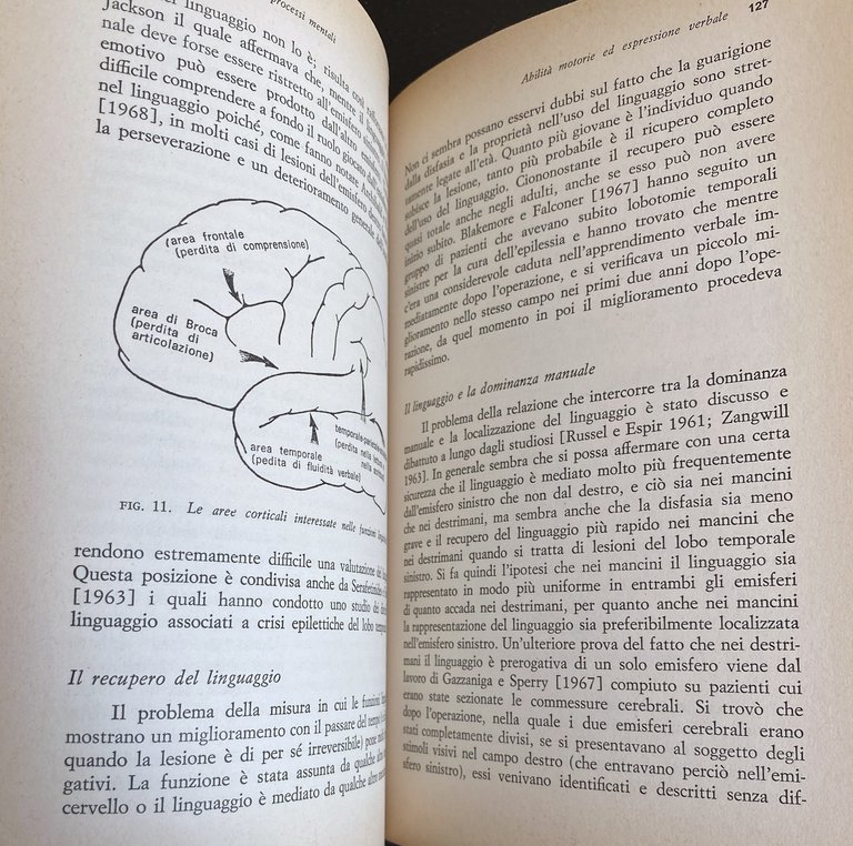 FUNZIONI CEREBRALI E PROCESSI MENTALI