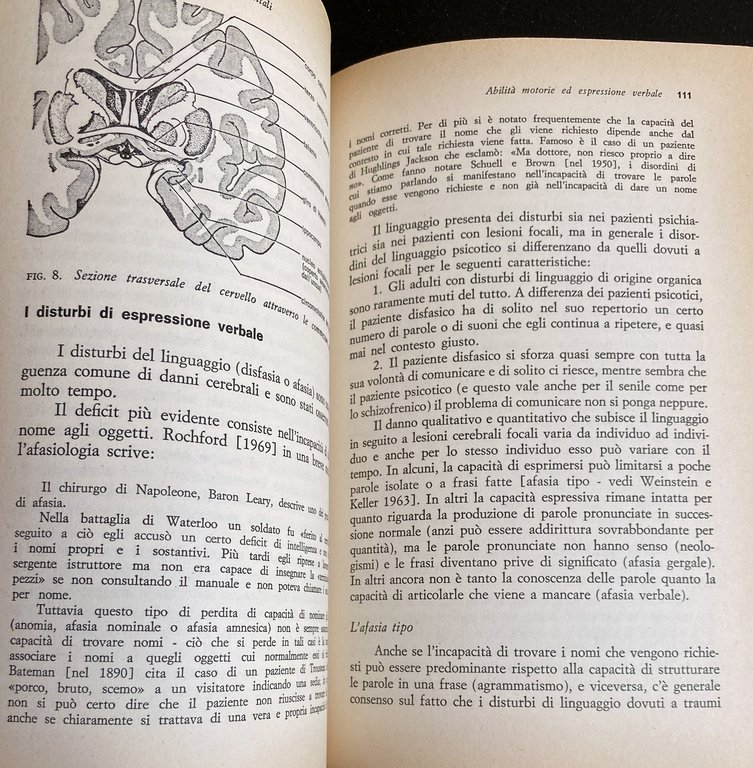 FUNZIONI CEREBRALI E PROCESSI MENTALI