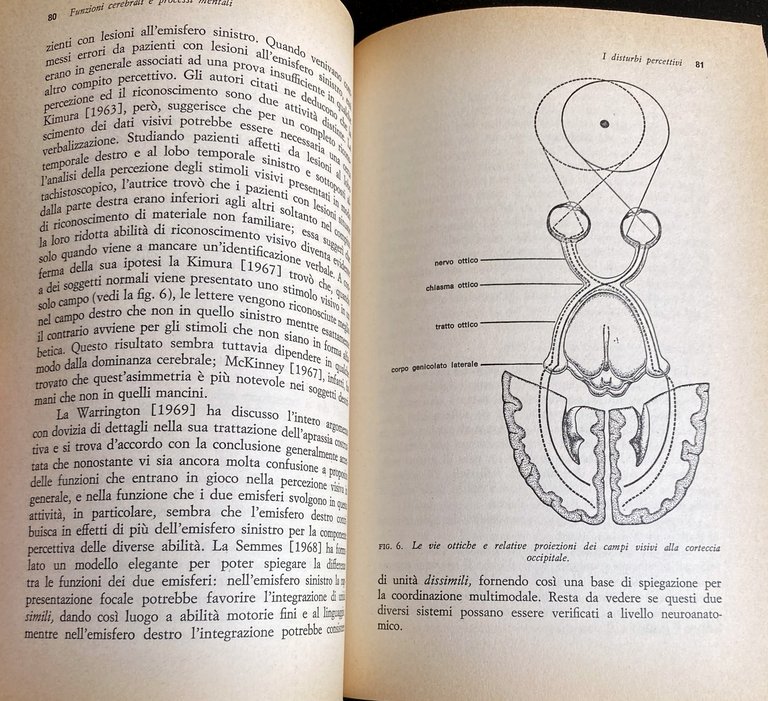 FUNZIONI CEREBRALI E PROCESSI MENTALI