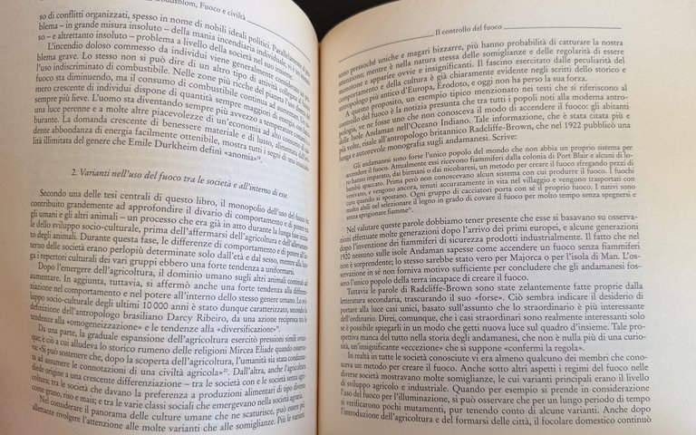 FUOCO E CIVILTÀ. DALLA PREISTORIA A OGGI | Immagine Gallery 21