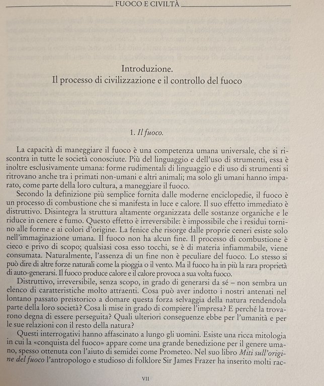 FUOCO E CIVILTÀ. DALLA PREISTORIA A OGGI | Immagine Gallery 11