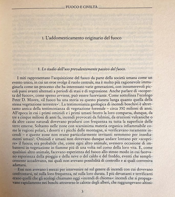 FUOCO E CIVILTÀ. DALLA PREISTORIA A OGGI | Immagine Gallery 12