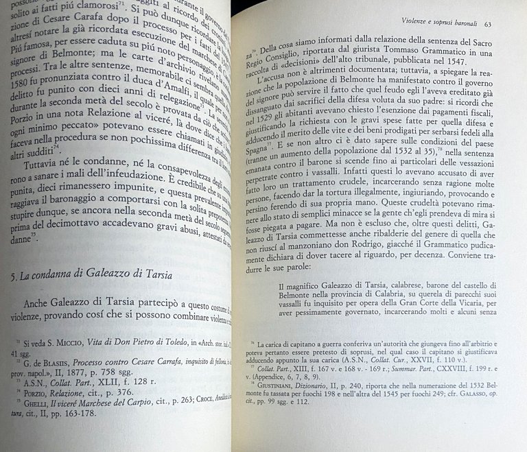 GALEAZZO DI TARSIA. POESIA E VIOLENZA NELLA CALABRIA DEL CINQUECENTO | Immagine Gallery 12