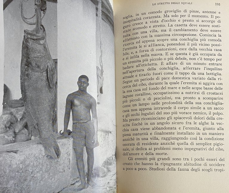 GLI ARTIGLI DEL PARADISO