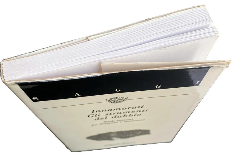 GLI STRUMENTI DEL DUBBIO. STUDI LETTERARI FRA TRECENTO E NOVECENTO.