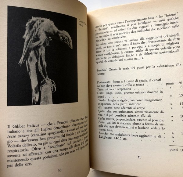 GUIDA ALL'ALLEVAMENTO MODERNO DEI CANARINI. ALIMENTAZIONE, RIPRODUZIONE, IBRIDAZIONE, CURE