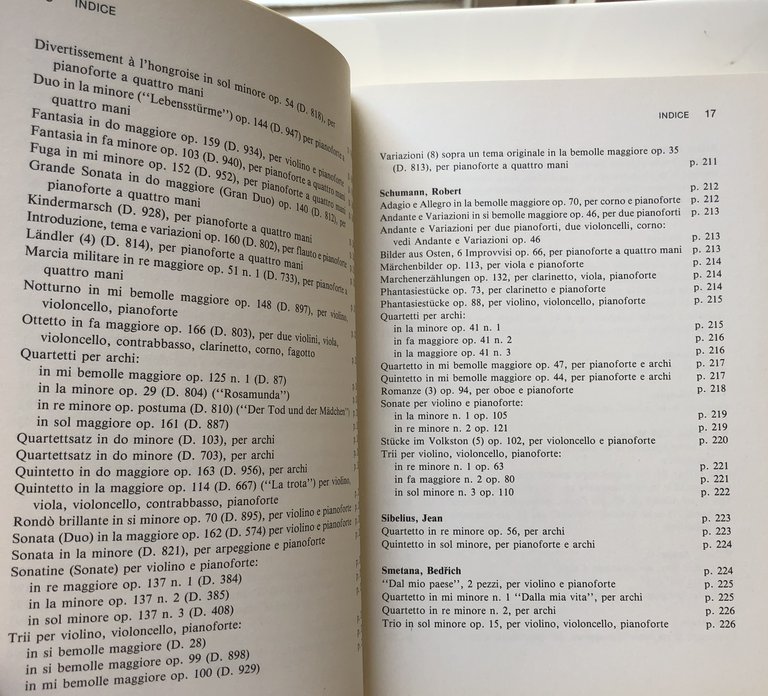 GUIDA ALL'ASCOLTO DELLA MUSICA DA CAMERA DELL'800 | Immagine Gallery 12