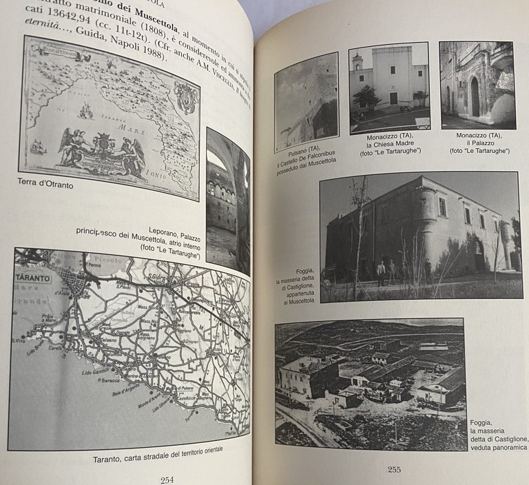 HORTENSE. LA PRINCIPESSA DI LEPORANO. IL ROMANZO E IL SUO … | Immagine Gallery 16