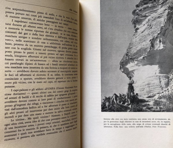 I CENTO 100 BOMBARDAMENTI DI NAPOLI. I GIORNI DELLE AM-LIRE
