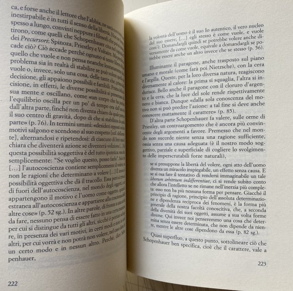 I PAZZI DI DIO. CROCE, HEIDEGGER, SCHOPENHAUER, NIETZSCHE E ALTRI. …