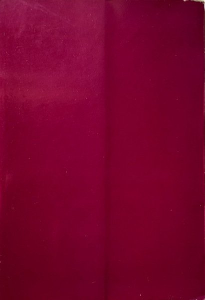 IL BANCO DI NAPOLI E LE SUE ORIGINI