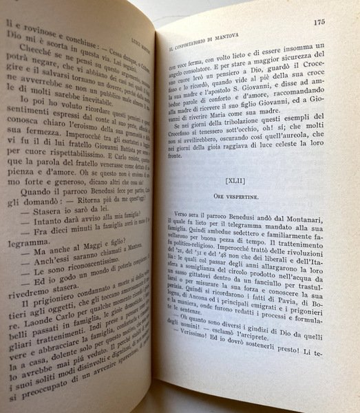 IL CONFORTATORIO DI MANTOVA. A CURA DI ALVISE ZORZI