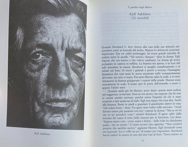 IL GIARDINO DEGLI ALFABETI. RACCONTI DALL'EUROPA