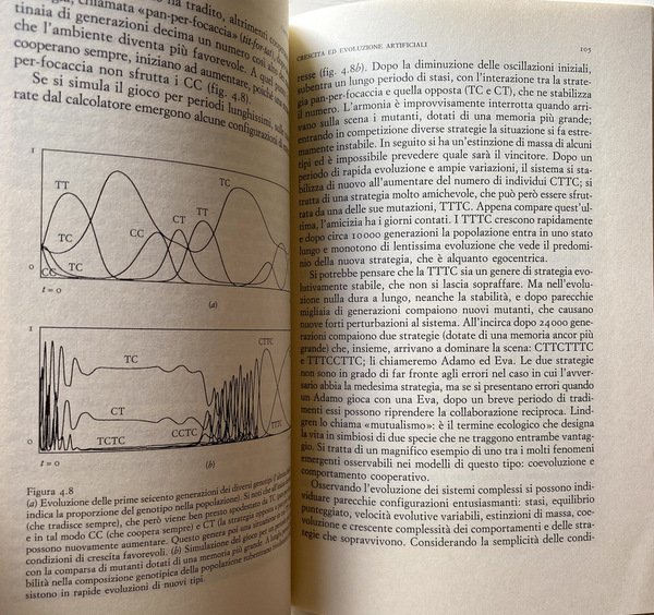 IL GIARDINO NELLA MACCHINA DELLA VITA ARTIFICIALE