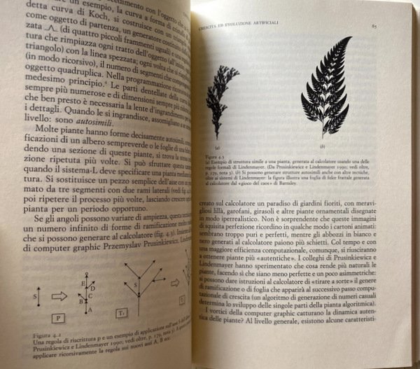 IL GIARDINO NELLA MACCHINA DELLA VITA ARTIFICIALE