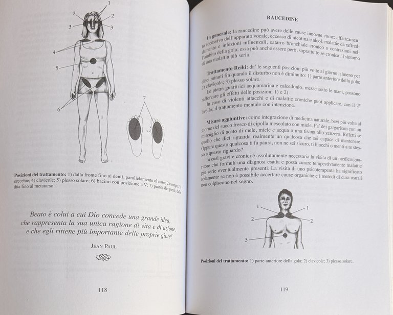 IL GRANDE LIBRO DELLA GUARIGIONE REIKI. LA GUARIGIONE DEL CORPO … | Immagine Gallery 11