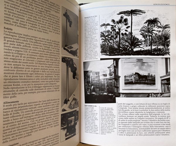 IL GRANDE MANUALE DELLA FOTOGRAFIA. ATTREZZATURE, CONSIGLI E TECNICHE PER …