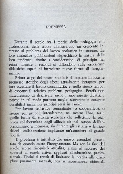 IL LAVORO SCOLASTICO A GRUPPI