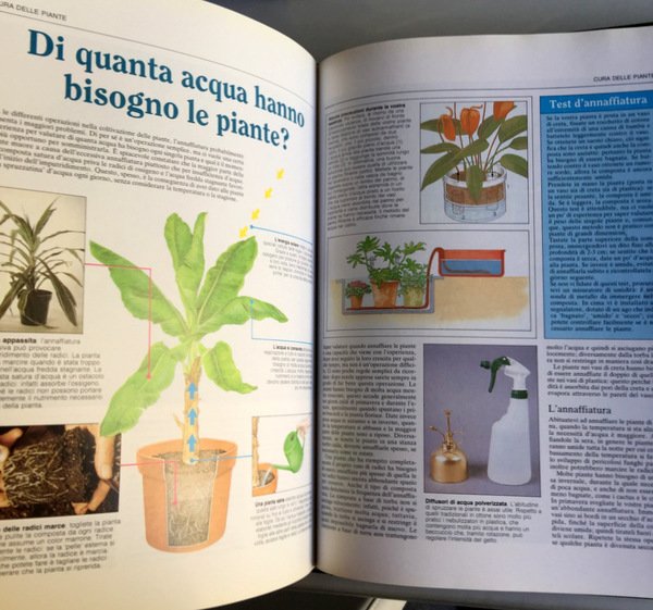 IL LIBRO COMPLETO DELLE PIANTE IN CASA: CONSIGLI E SEGRETI …