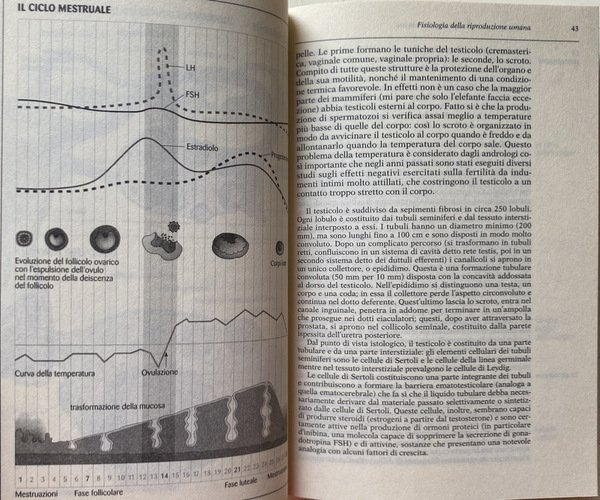 IL LIBRO DELLA PROCREAZIONE. LA MATERNITÀ COME SCELTA: FISIOLOGIA, CONTRACCEZIONE, …