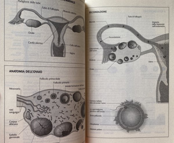 IL LIBRO DELLA PROCREAZIONE. LA MATERNITÀ COME SCELTA: FISIOLOGIA, CONTRACCEZIONE, …