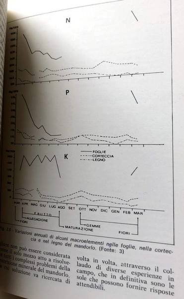 IL MANDORLO. FRUTTICOLTURA ANNI '80. A CURA DI ENRICO BALDINI, …