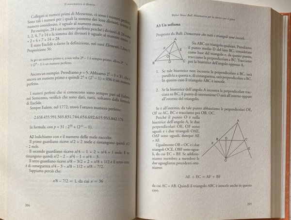 IL MATEMATICO SI DIVERTE. DUECENTO GIOCHI ED ENIGMI CHE HANNO …