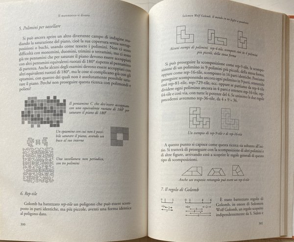 IL MATEMATICO SI DIVERTE. DUECENTO GIOCHI ED ENIGMI CHE HANNO …