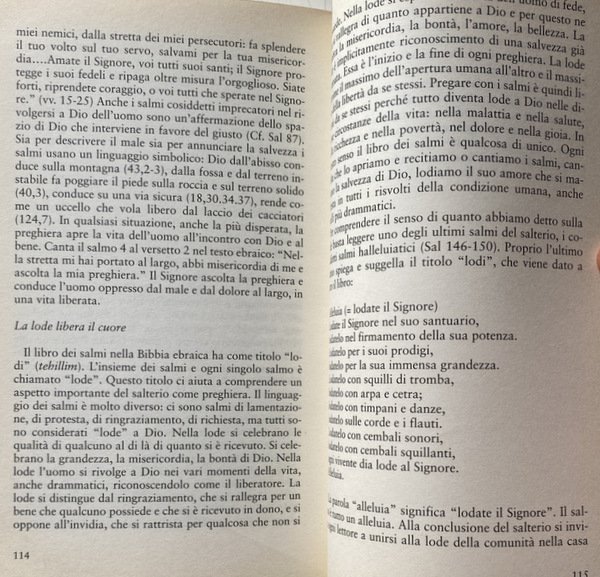 IL NOME DI DIO. TEMI BIBLICI DELL'ANTICO TESTAMENTO LEONARDO