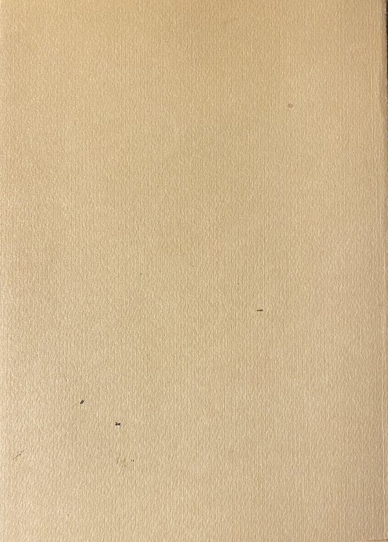 IL PARLAMENTO ITALIANO