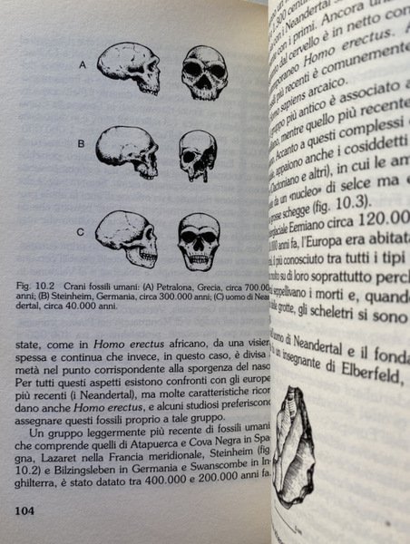 IL PRIMO UOMO. ALLA SCOPERTA DELLE NOSTRE ORIGINI