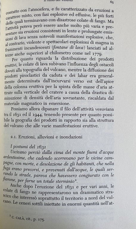 IL RISCHIO VESUVIO. STORIA E GEODIVERSITÀ DI UN VULCANO | Immagine Gallery 12