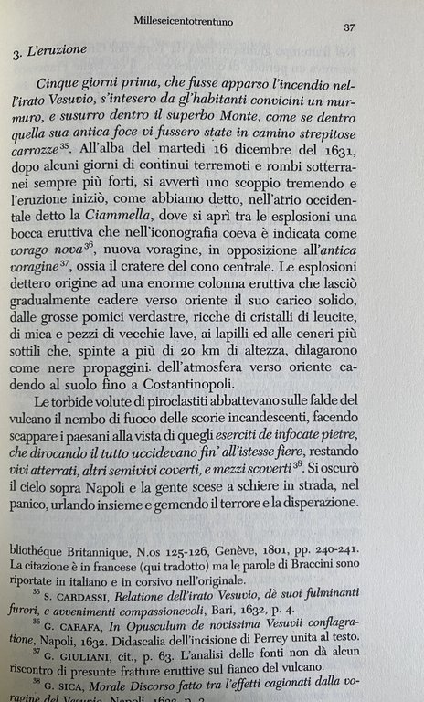 IL RISCHIO VESUVIO. STORIA E GEODIVERSITÀ DI UN VULCANO | Immagine Gallery 16