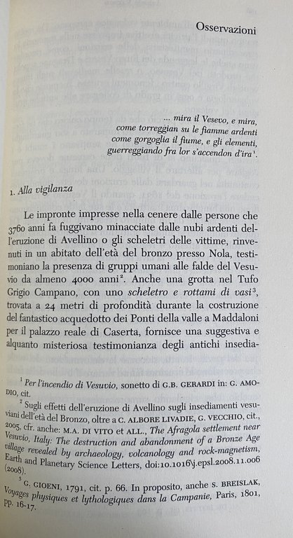 IL RISCHIO VESUVIO. STORIA E GEODIVERSITÀ DI UN VULCANO | Immagine Gallery 19
