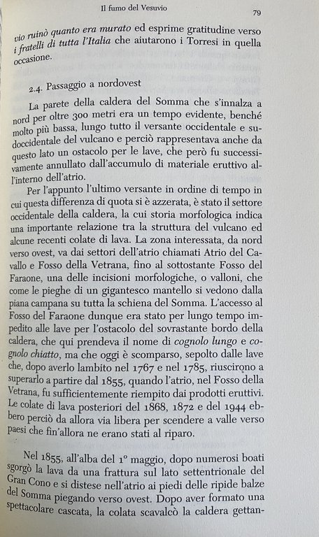 IL RISCHIO VESUVIO. STORIA E GEODIVERSITÀ DI UN VULCANO | Immagine Gallery 10