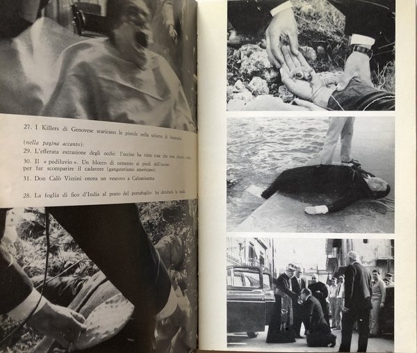 IL SASSO IN BOCCA. MAFIA E COSA NOSTRA