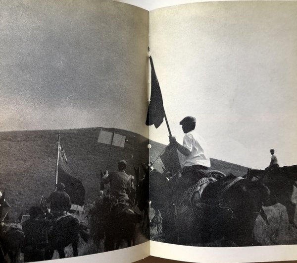 IL SASSO IN BOCCA. MAFIA E COSA NOSTRA