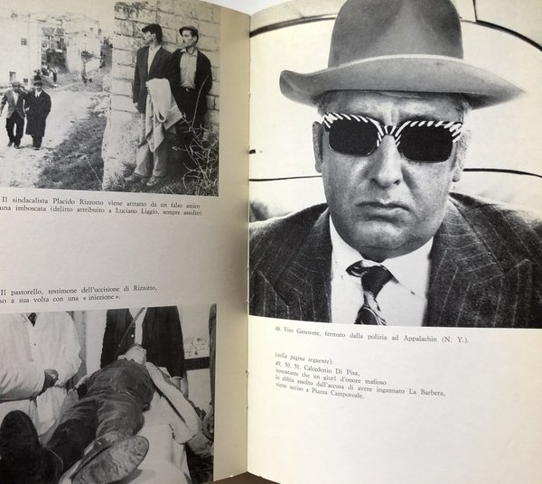 IL SASSO IN BOCCA. MAFIA E COSA NOSTRA