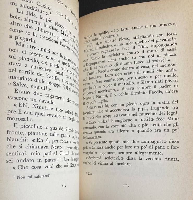 IL SOGNO DI UNA COSA: ROMANZO