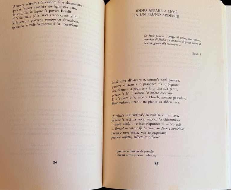 IL VECCHIO TESTAMENTO IN POESIA NAPOLETANA | Immagine Gallery 11