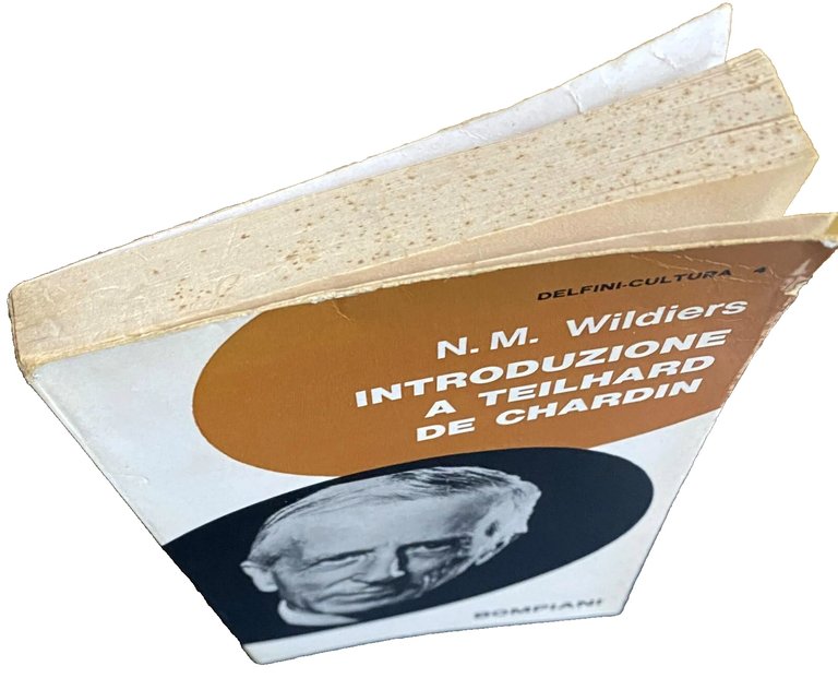 INTRODUZIONE A TEILHARD DE CHARDIN