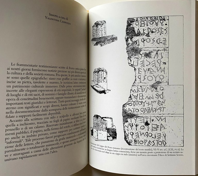 INTRODUZIONE ALLA FILOLOGIA LATINA.