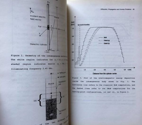 ITALIAN RECENT ADVANCES IN APPLIED ELECTROMAGNETICS