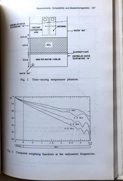 ITALIAN RECENT ADVANCES IN APPLIED ELECTROMAGNETICS