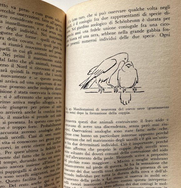 L'AMORE NELLA VITA DEGLI ANIMALI. ABITUDINI E COSTUMI NUZIALI AI …