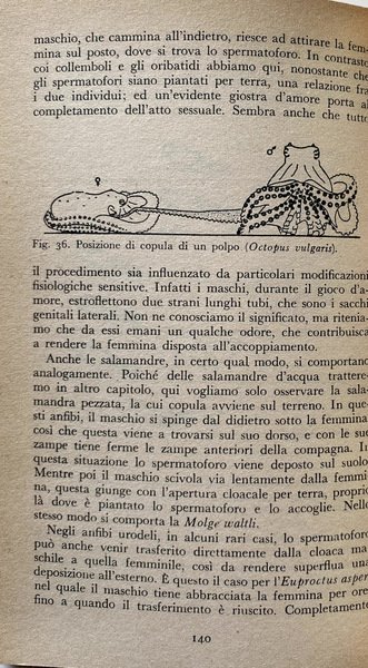 L'AMORE NELLA VITA DEGLI ANIMALI. ABITUDINI E COSTUMI NUZIALI AI …